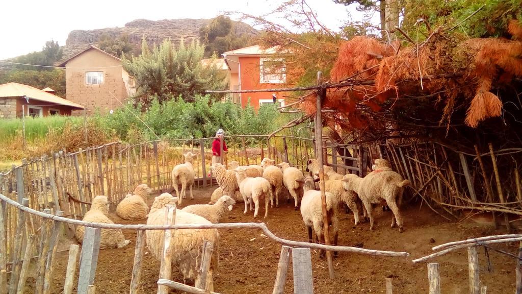 Casa Titicaca Amantani Hotel Ocosuyo Luaran gambar